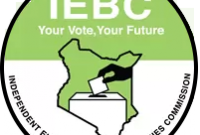 IEBC: MPs require qualifications to handle legislation